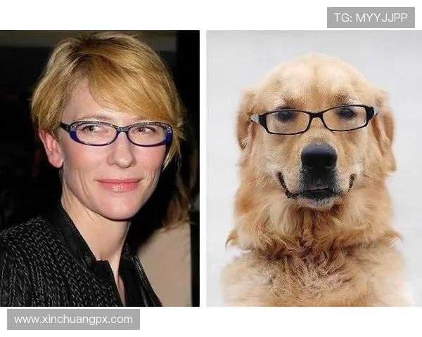 足球明星因涉嫌非法猎犬活动被警方拘捕引发社会广泛关注与讨论